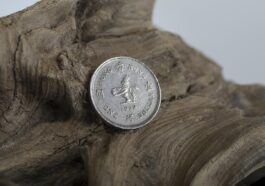 coin, foreign, silver, wood, metal, business, finance