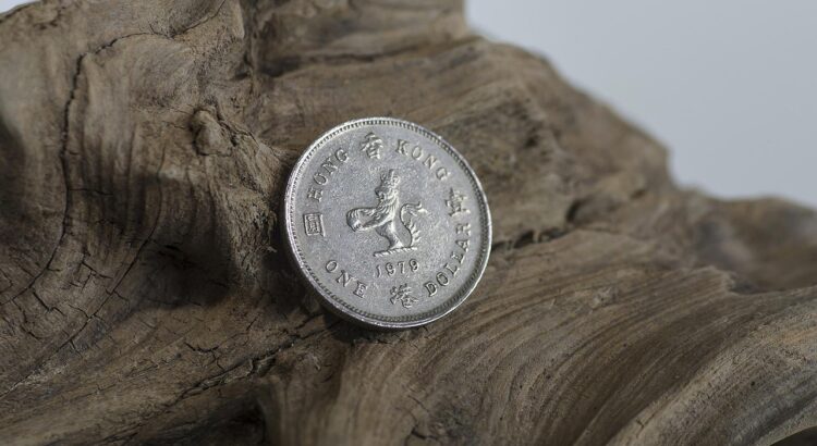 coin, foreign, silver, wood, metal, business, finance