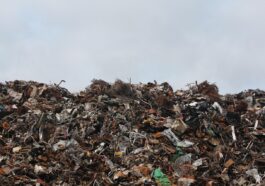 disposal, dump, garbage, junk, landfill, litter, pile, scrap metal, scrapyard, trash, waste, garbage, garbage, garbage, garbage, landfill, landfill, landfill, trash, trash, trash, trash, trash, waste, waste, waste