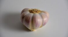 clove garlic, garlic, food, condiment, bulb of garlic, vegetable plant, cultivated garlic, common garlic, sweet garlic, pod, garlic, garlic, garlic, garlic, garlic