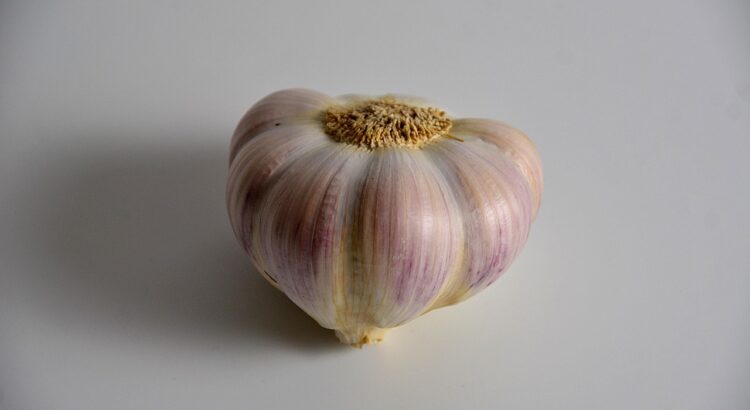 clove garlic, garlic, food, condiment, bulb of garlic, vegetable plant, cultivated garlic, common garlic, sweet garlic, pod, garlic, garlic, garlic, garlic, garlic