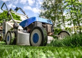 lawn mower, grass, garden