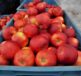 apples, red, sale, crates, now, harvested, agriculture, fruit, stored, stock, farm, bio, cultivation