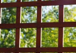 gratings, lattice, nature, pergola, garden, wood, view, frames, fuzzy