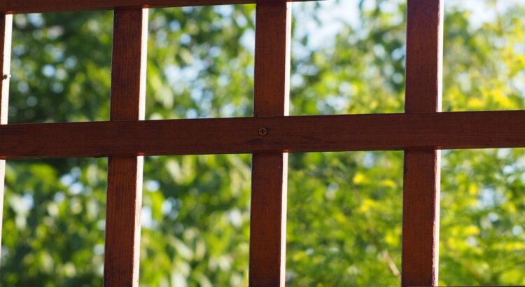gratings, lattice, nature, pergola, garden, wood, view, frames, fuzzy