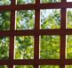 gratings, lattice, nature, pergola, garden, wood, view, frames, fuzzy