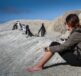 penguins, south africa, cape town, nature, travel nature, africa, ocean, beach, tourism, adventure, tourist, scenic, outdoor, holiday