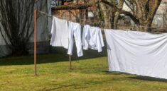 laundry, to wash, pure, clothing, clean, rope, clothes line, washing machine, dry