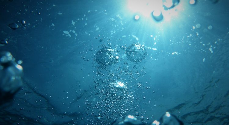 bubbles going upwards on a body of water