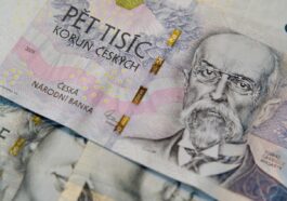 money, cash, czech crowns, banknotes, finance, europe, investment, crown, czechia, money, money, finance, finance, finance, finance, finance