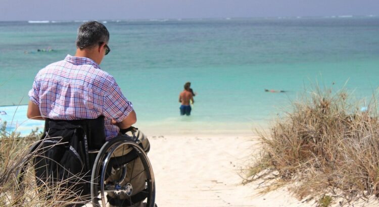 wheelchair, holiday, bea, disabled, nature, summer
