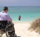 wheelchair, holiday, bea, disabled, nature, summer