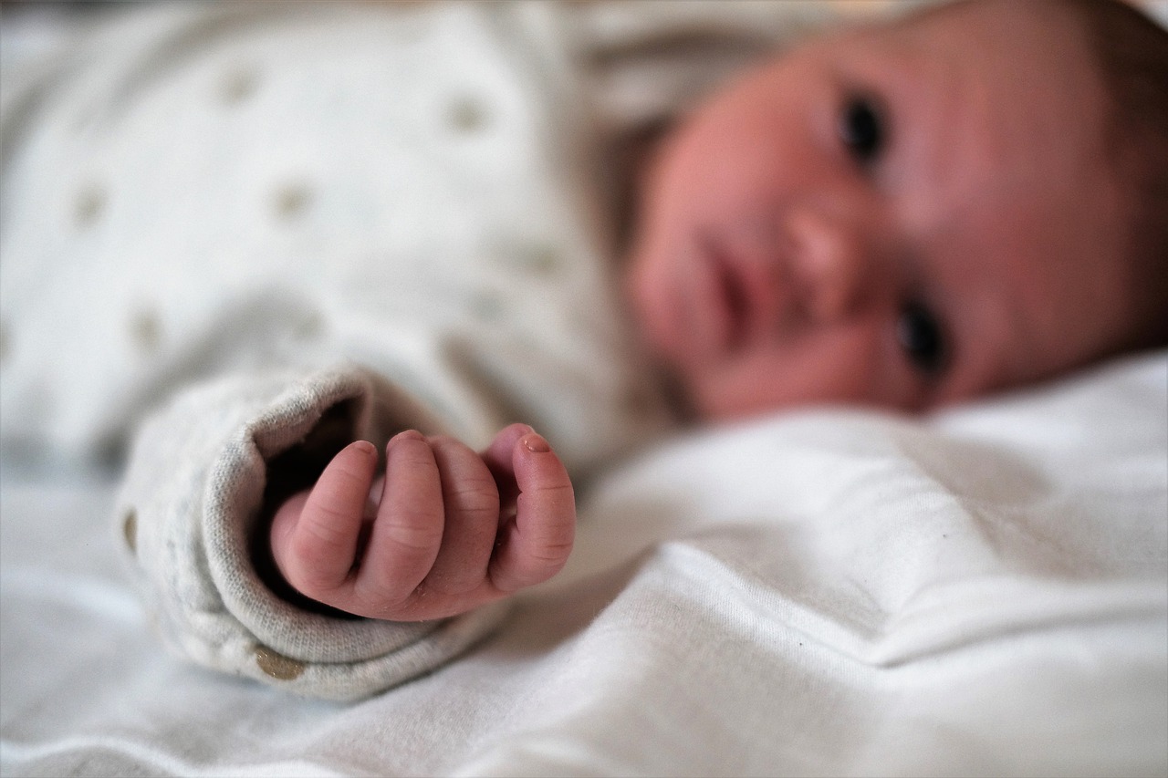 Baby Newborn Motherhood Infant  - tatjana3012 / Pixabay