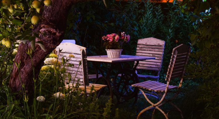Garden Romance Evening Atmosphere  - Pixaline / Pixabay