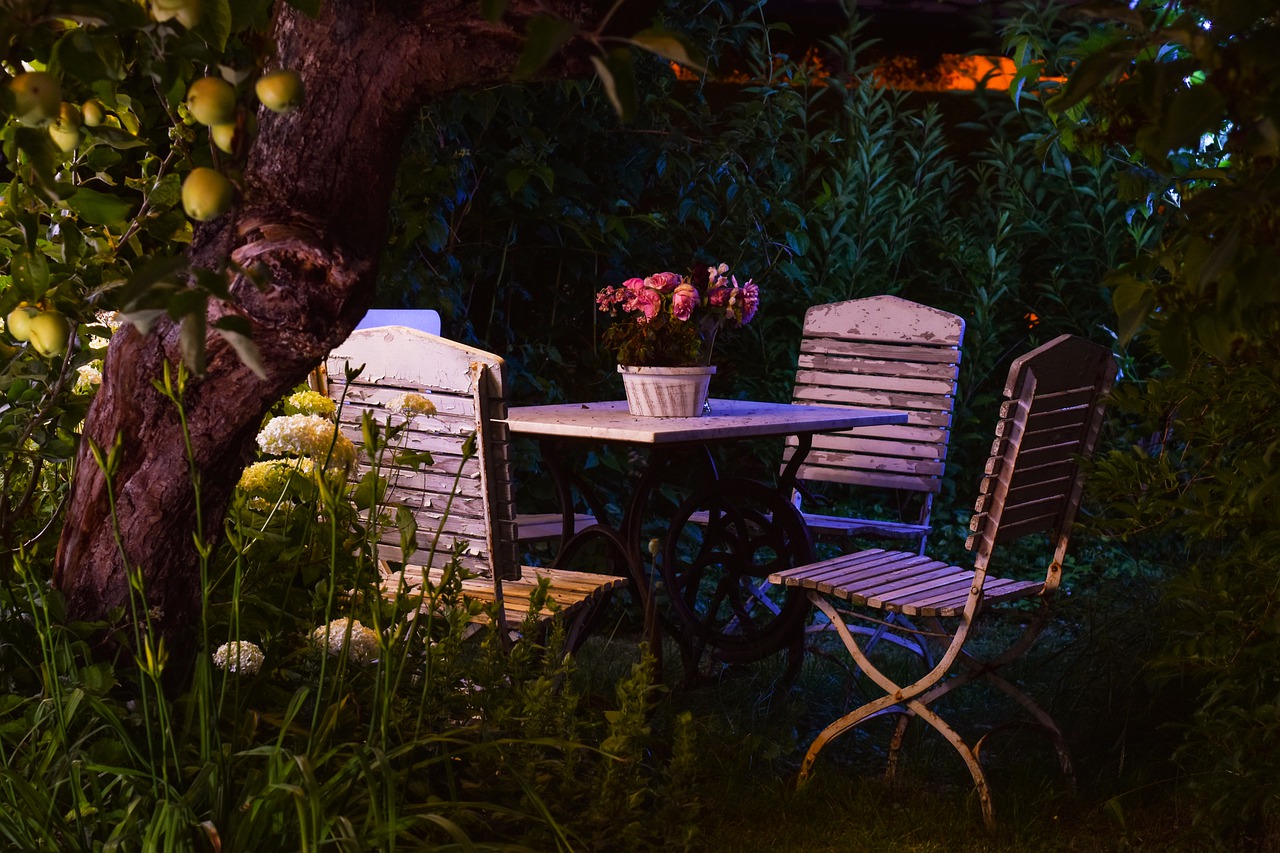 Garden Romance Evening Atmosphere  - Pixaline / Pixabay