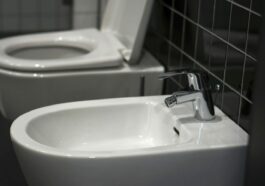 A white toilet sitting next to a white sink
