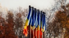 Trees Flags National Romanian  - Surprising_Shots / Pixabay