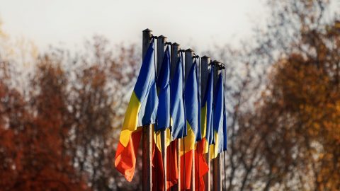 Trees Flags National Romanian  - Surprising_Shots / Pixabay