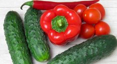 Vegetables Food Produce Cucumbers  - panchenko_karina / Pixabay