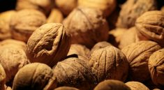 Walnuts Thanksgiving Autumn Serious  - Joa70 / Pixabay