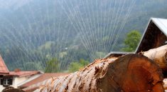 Wood Log Carpenter Irrigation  - bboellinger / Pixabay