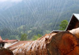 Wood Log Carpenter Irrigation  - bboellinger / Pixabay