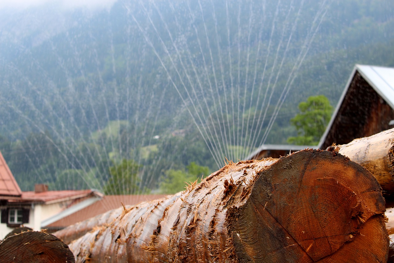 Wood Log Carpenter Irrigation  - bboellinger / Pixabay