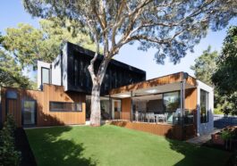 brown wooden house near green trees during daytime